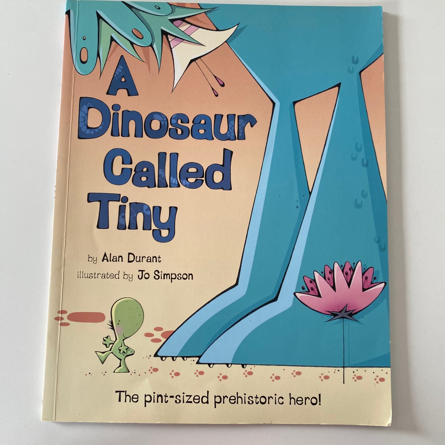 A Dinosaur Called Tiny Book
