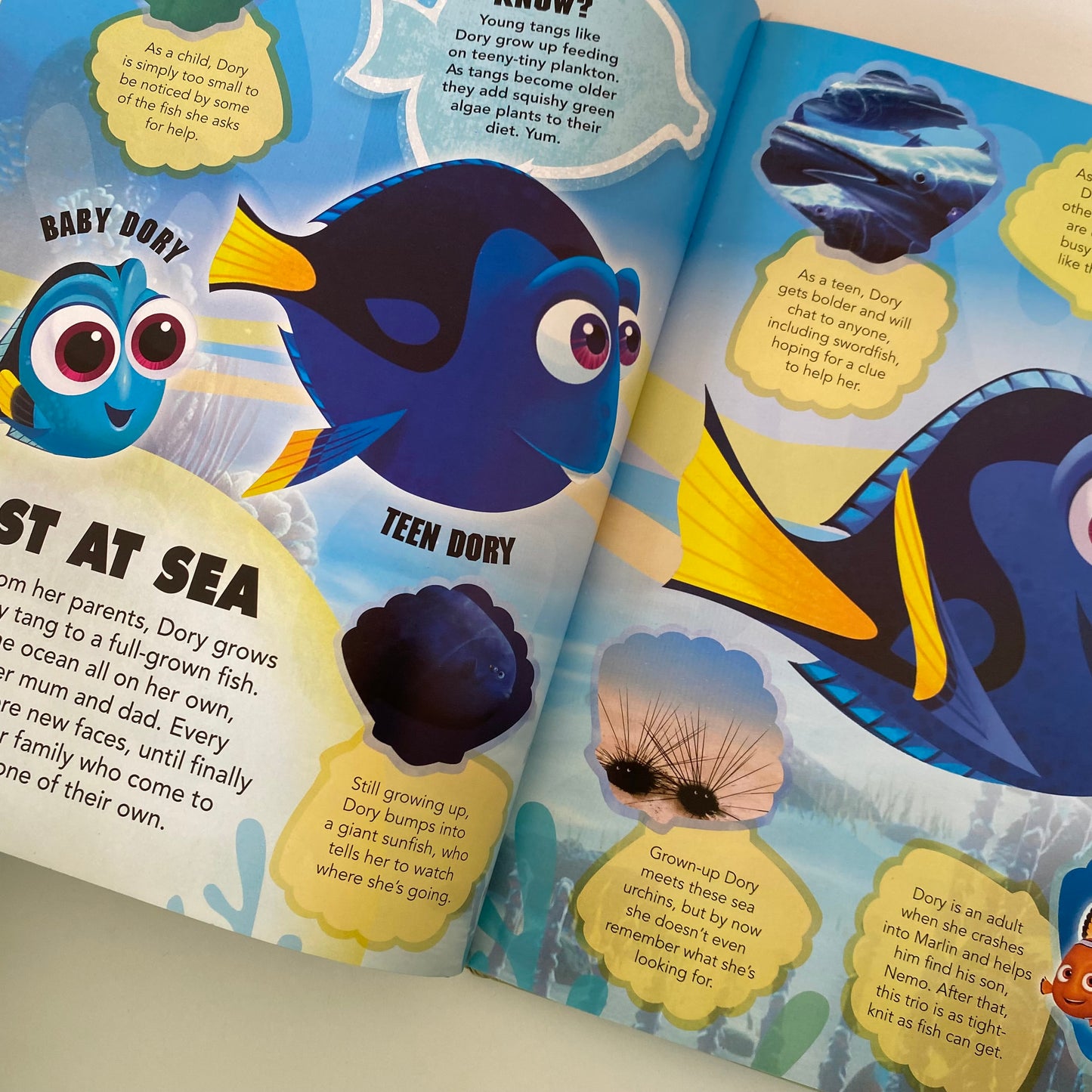 Finding Dory / Nemo The Essential Guide Book
