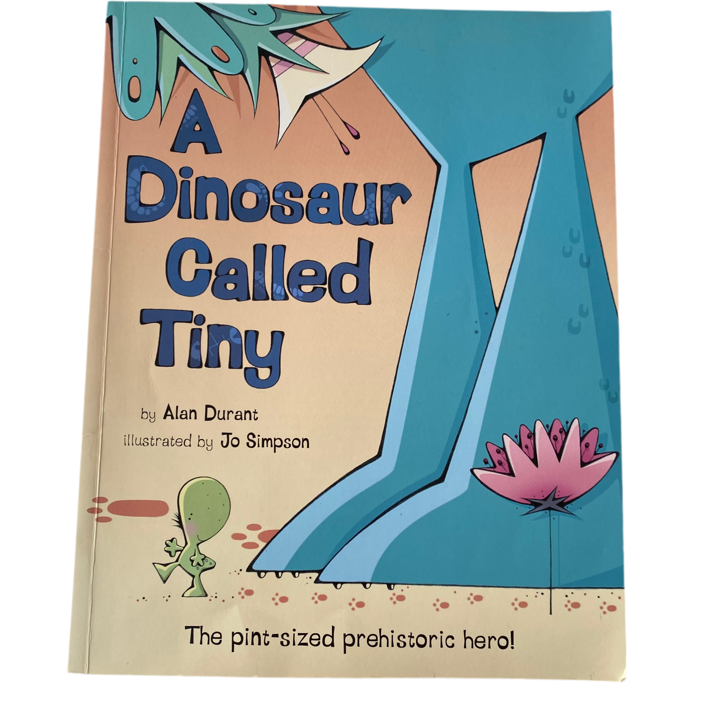 A Dinosaur Called Tiny Book