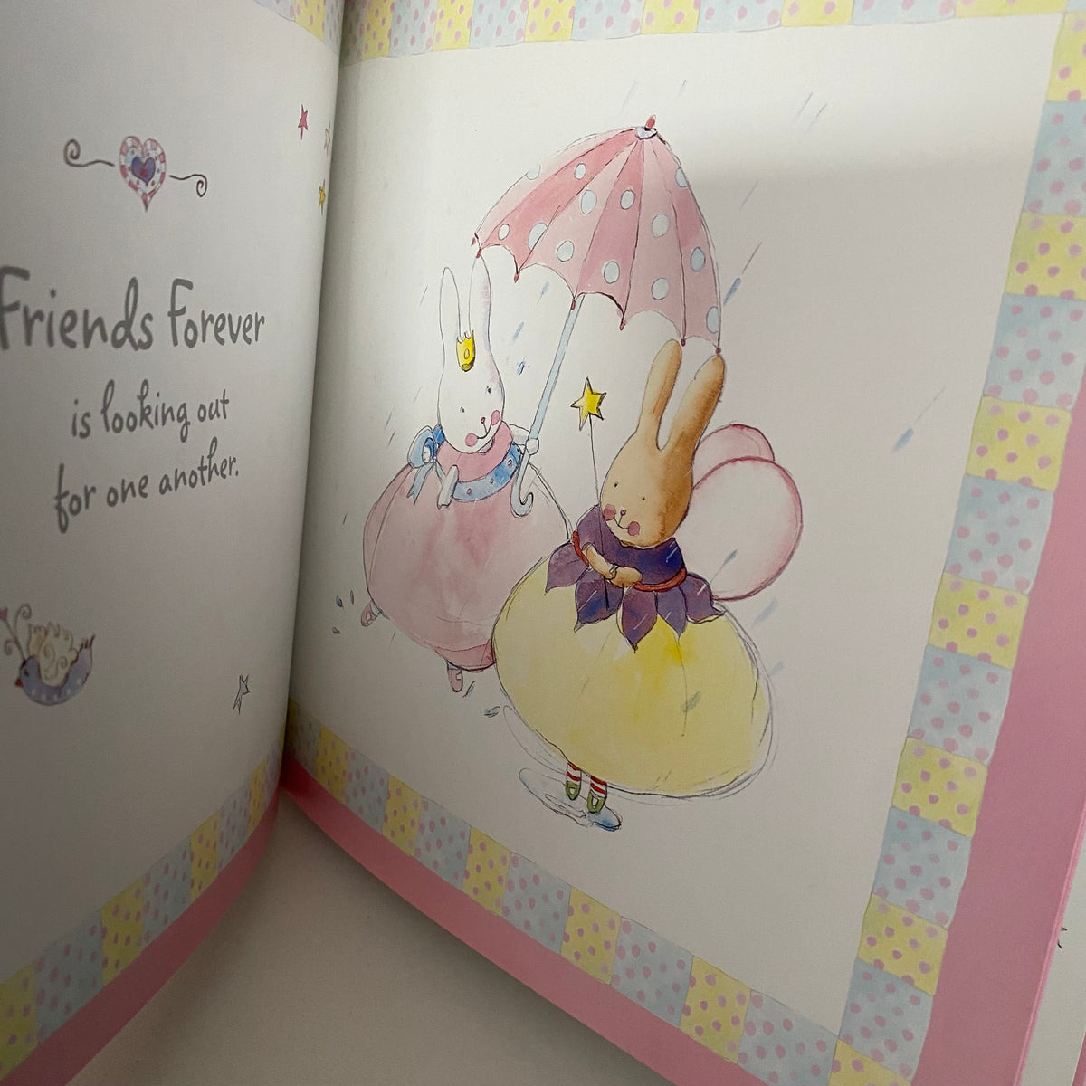 Princess & Fairy Friends Forever Book