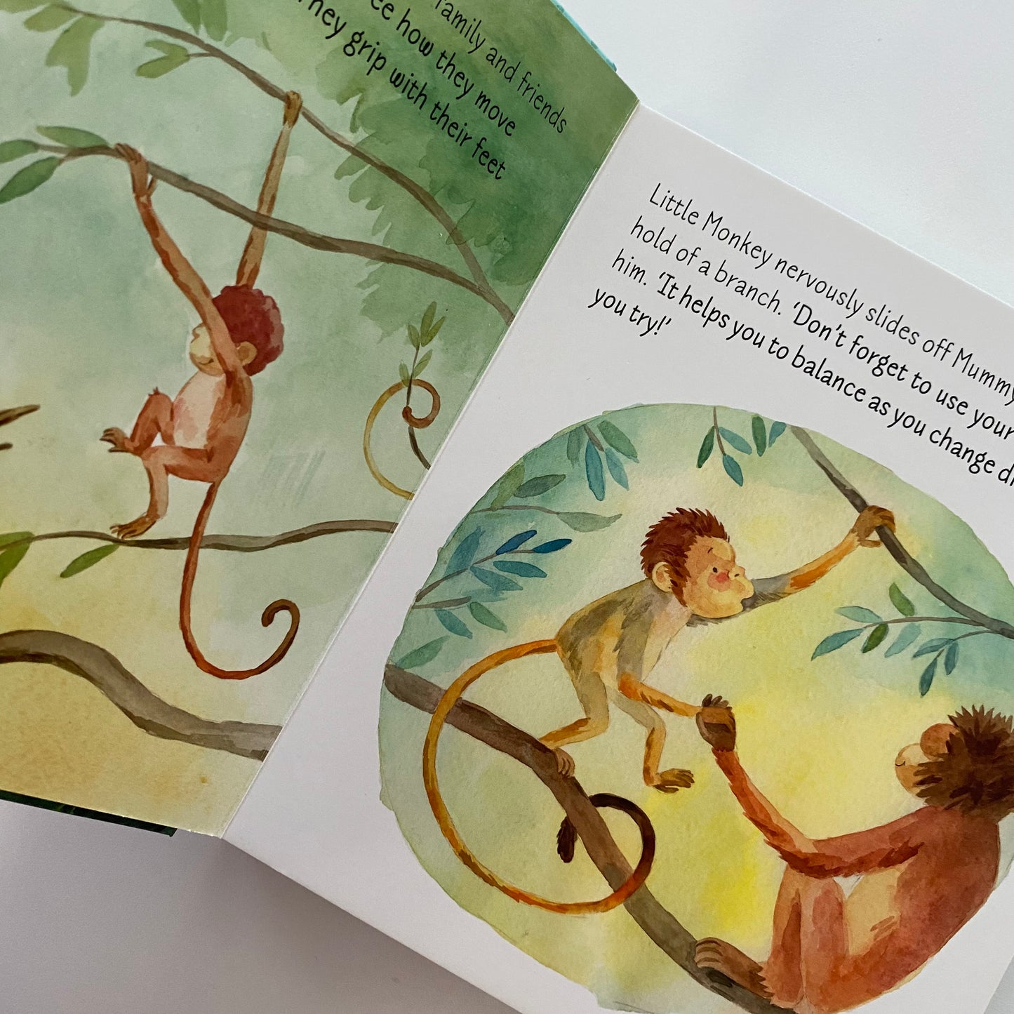 Too Clumsy To Climb Board Book