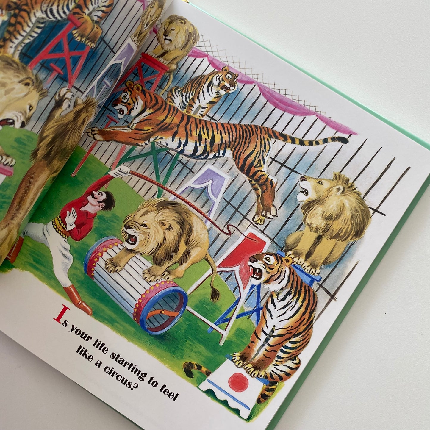 Everything I Know I Learned From A Little Golden Book