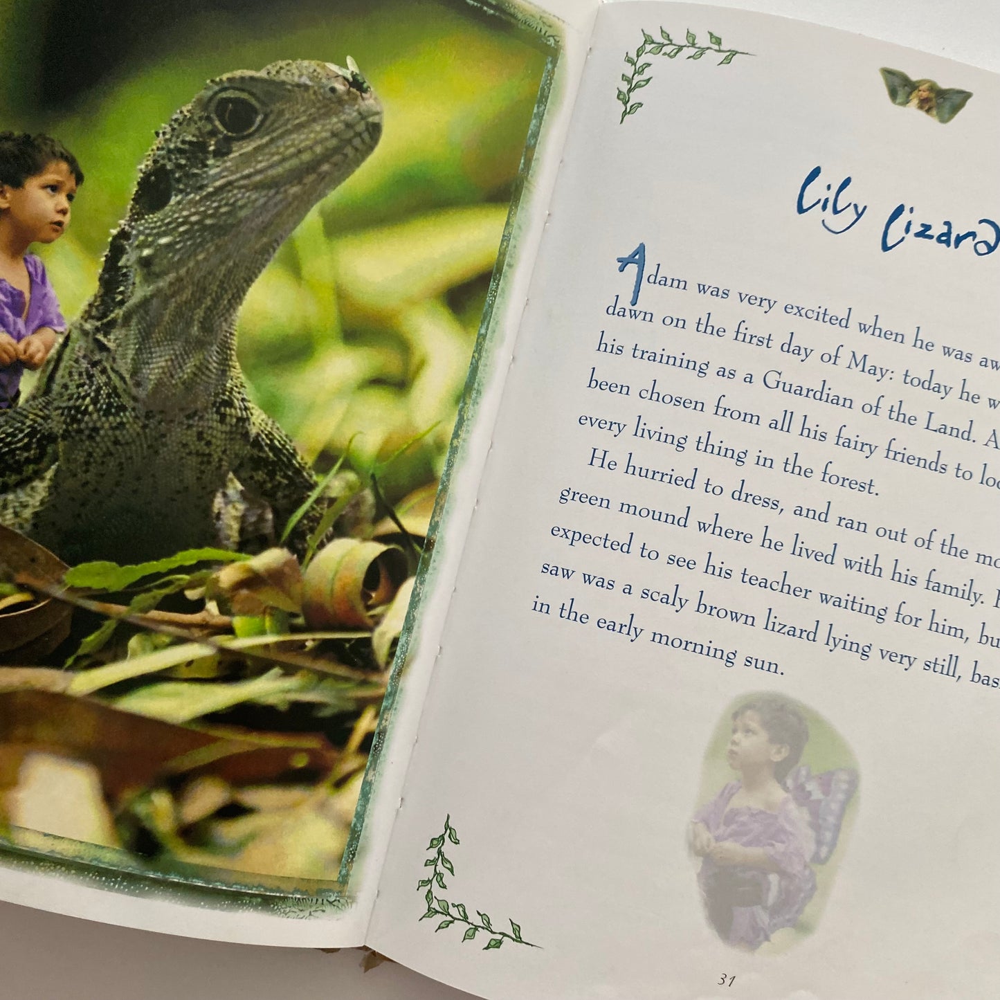 The Secret World Of Fairies Book