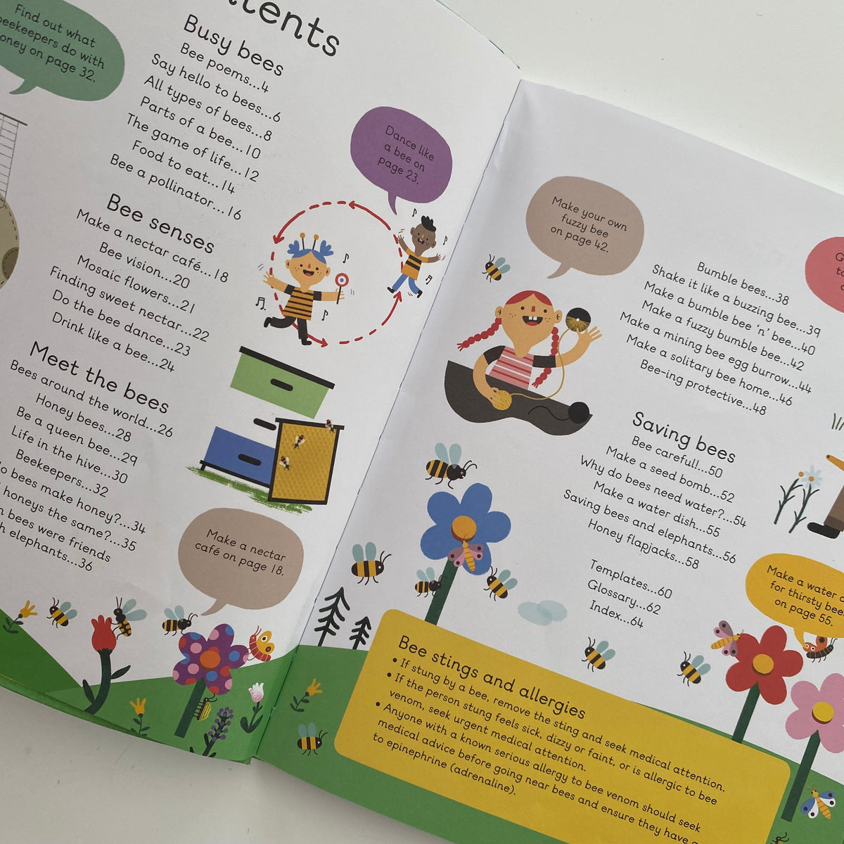 What On Earth? Bees Book