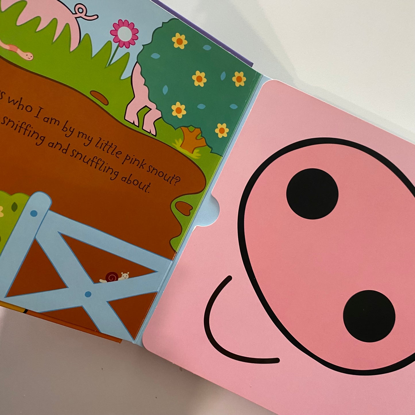 Whose Nose? Lift The Flap Book