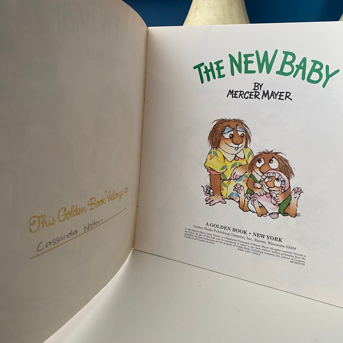 Mercer Mayer Little Critters The New Baby Book