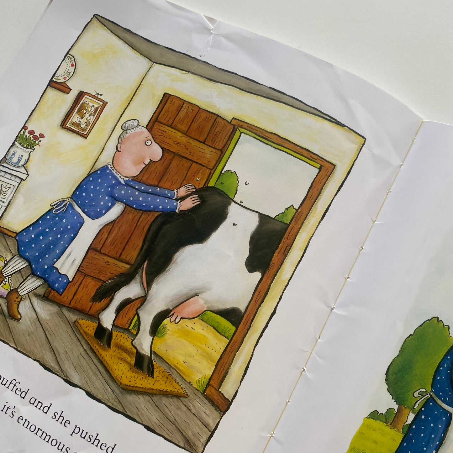 Julia Donaldson Axel Scheffler A Squash & A Squeeze Book