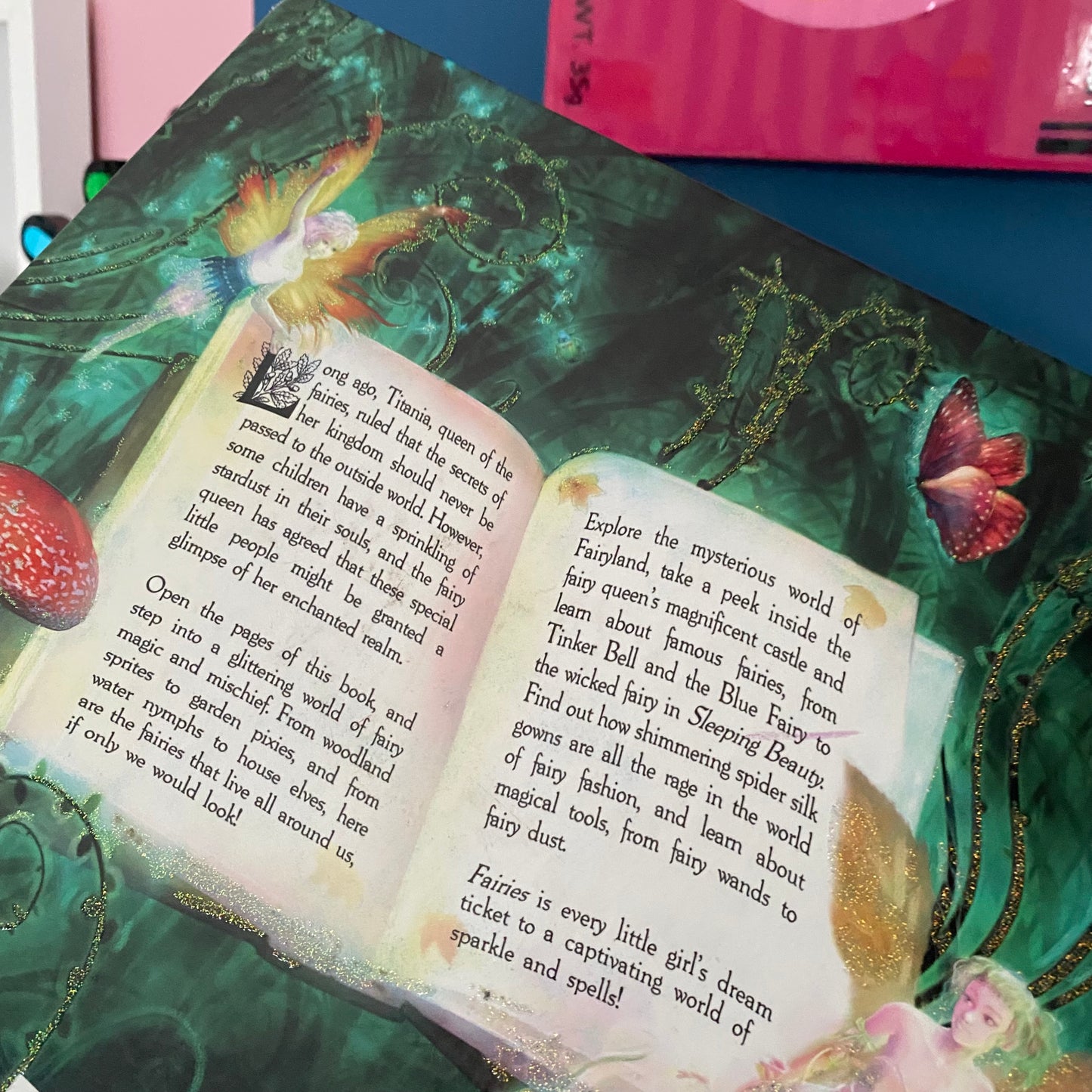 Fairies A Magical Guide To The Enchanted Relem Book