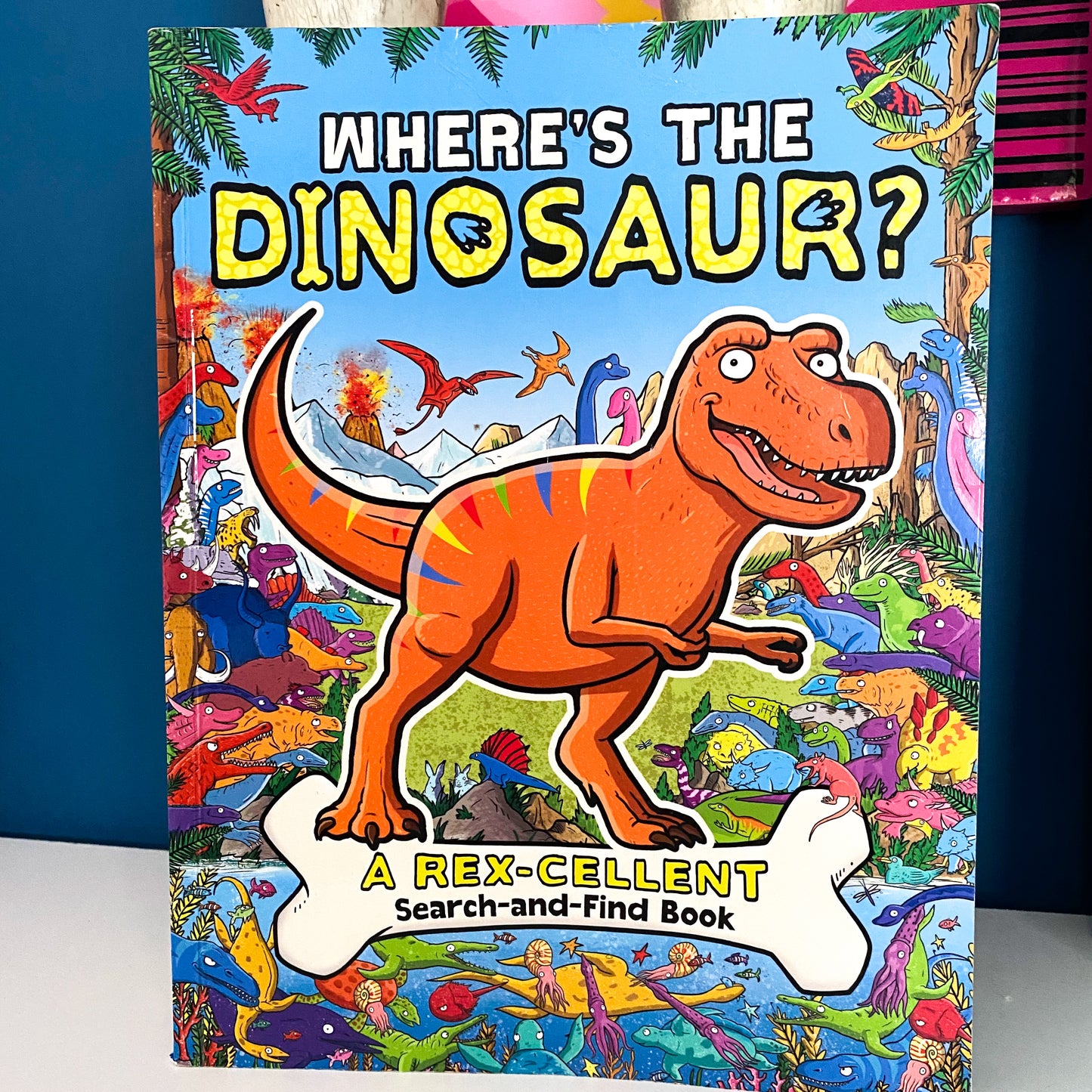 Where’s The Dinosaur? Look & Find Book