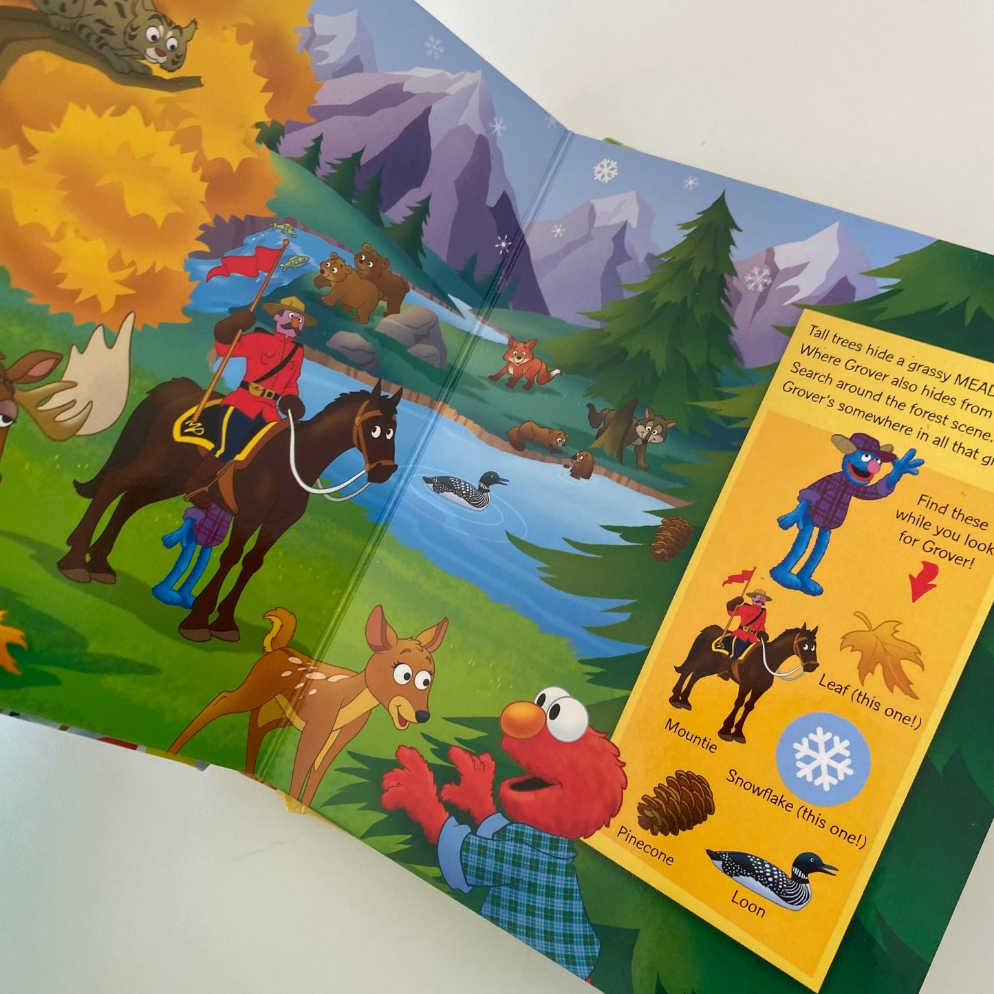 Sesame Street Look & Find Book