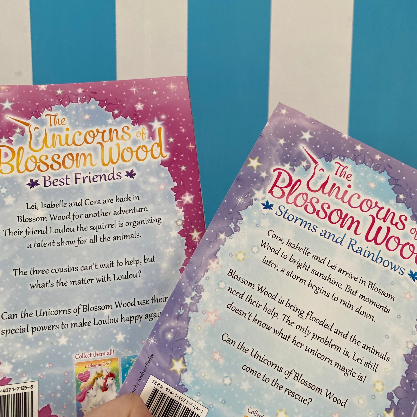 The Unicorns Of Blossom Wood Chapter Book Bundle