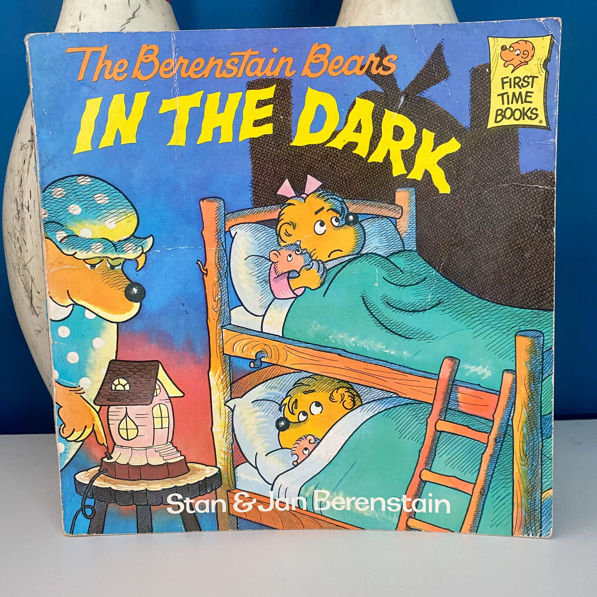 Vintage The Berenstain Bears In The Dark Book