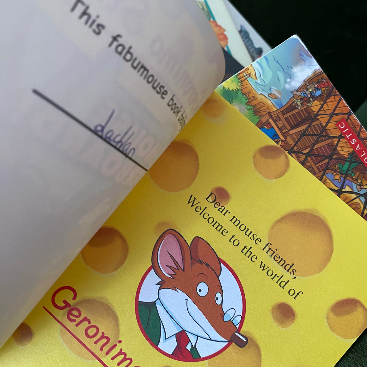 Geronimo Stilton Mouse Overboard! Chapter Book