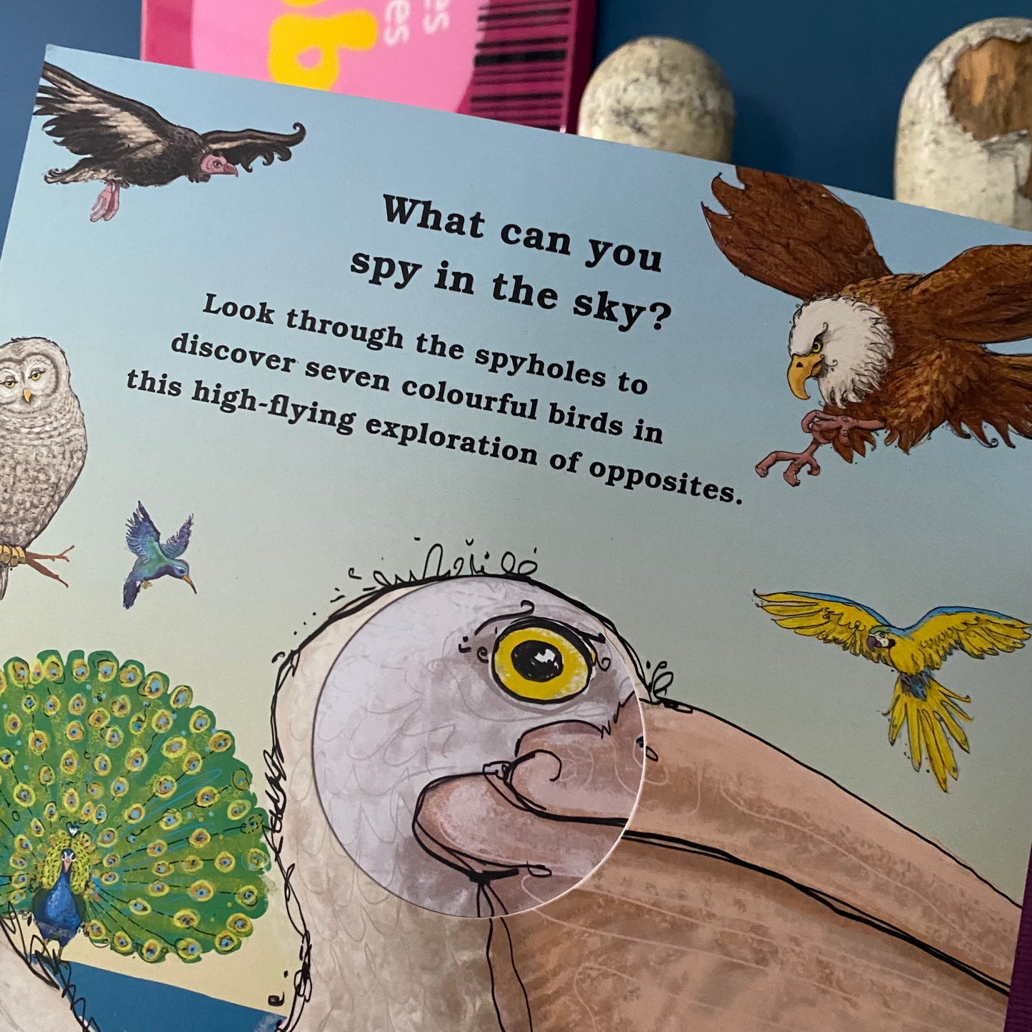 I Spy In The Sky… Book