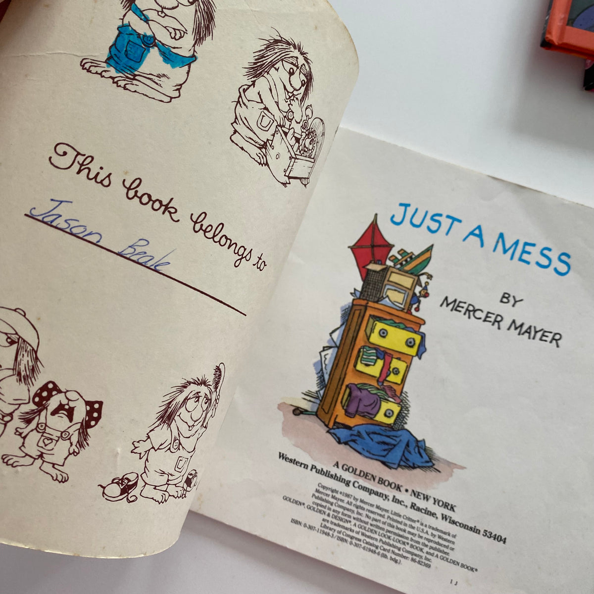Mercer Mayer Little Critters Just A Mess Book