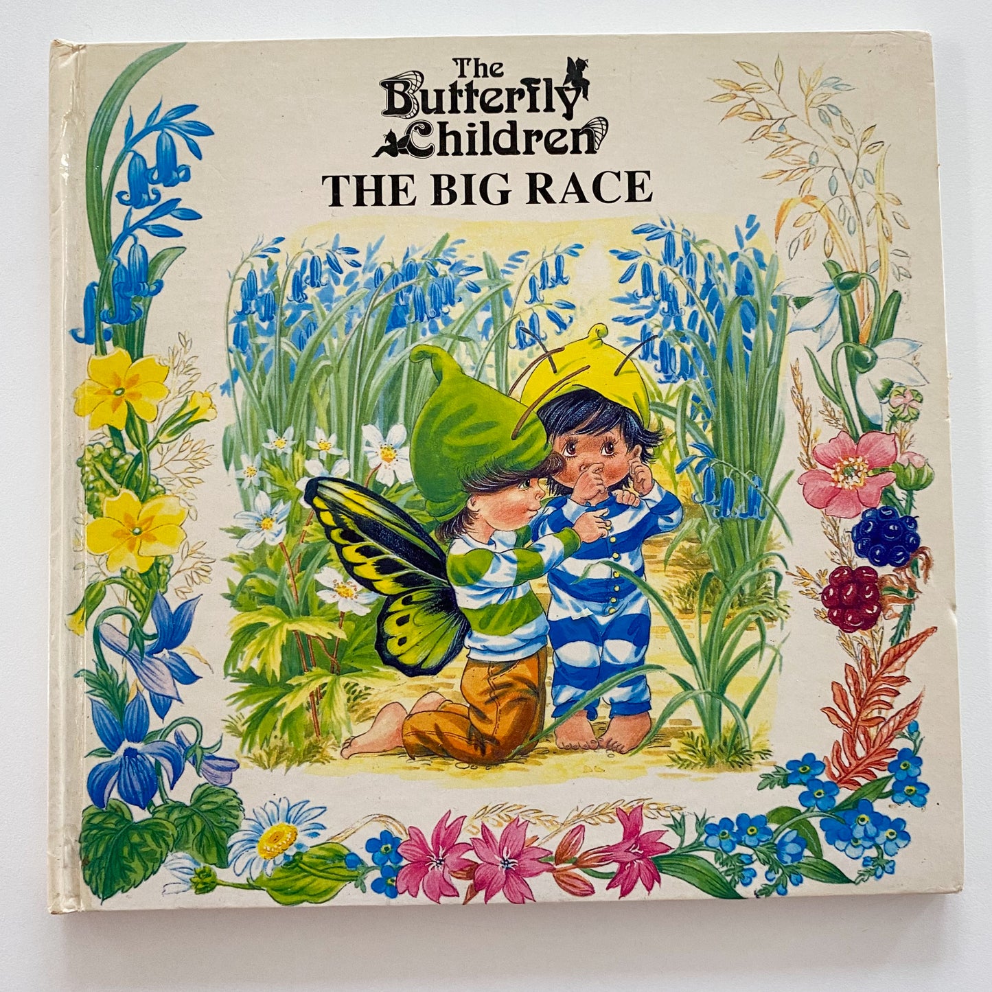 The Butterfly Children The Big Race Book