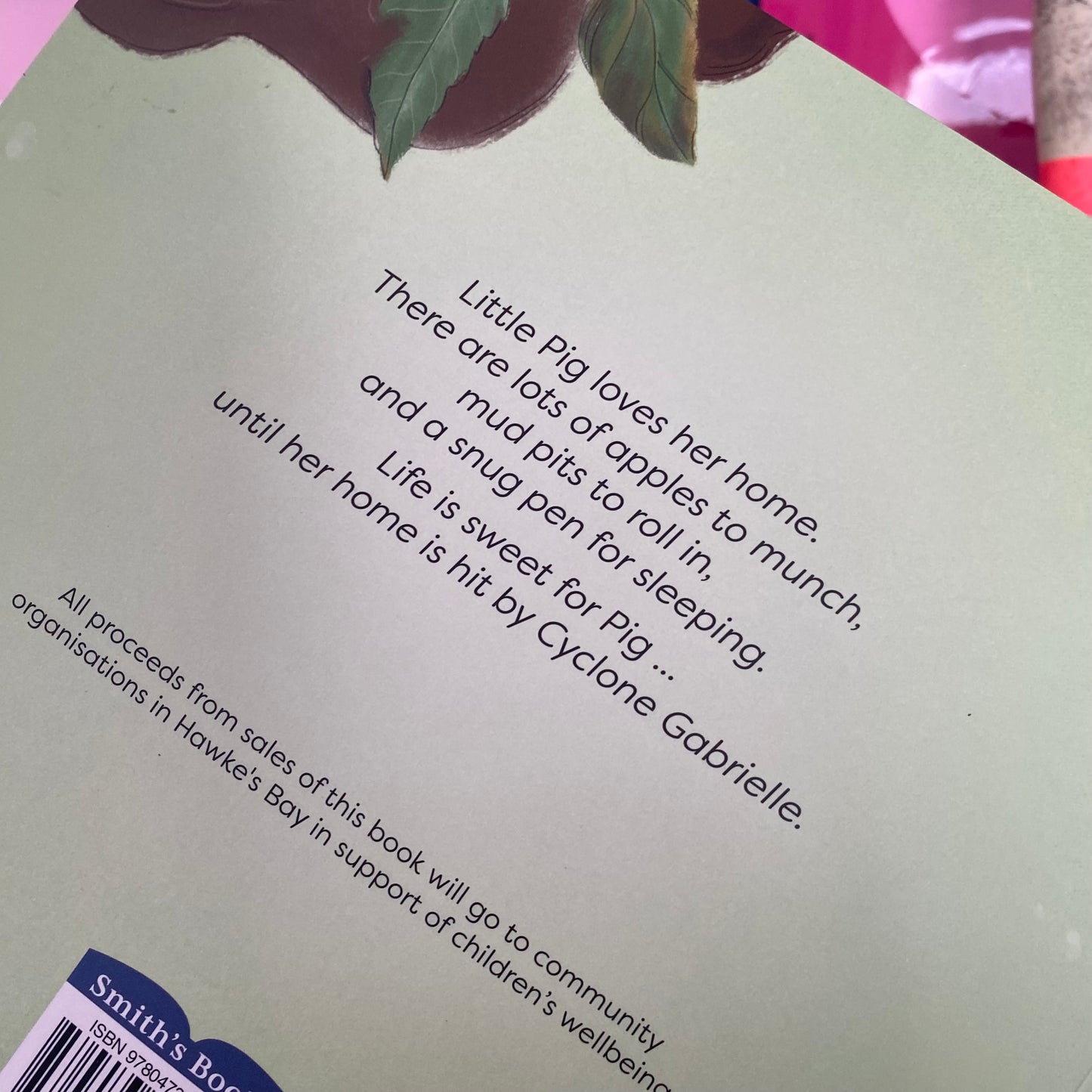 The Lucky Pig Cyclone Gabrielle Book
