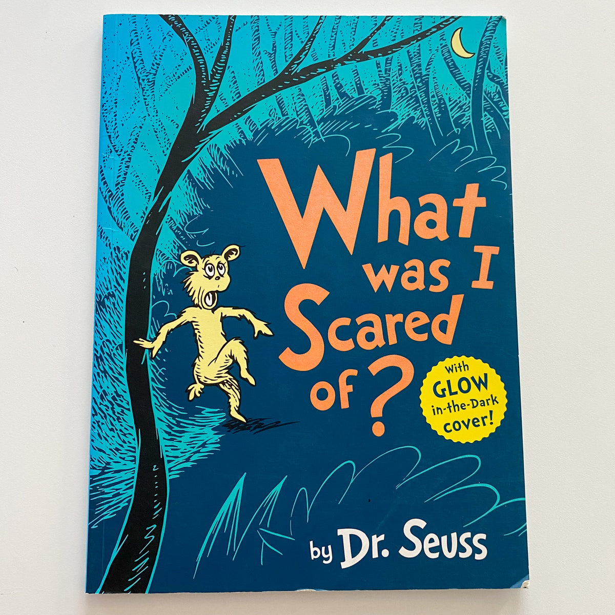 Dr Seuss What Was I Scared Of? Glow In The Dark Cover Book