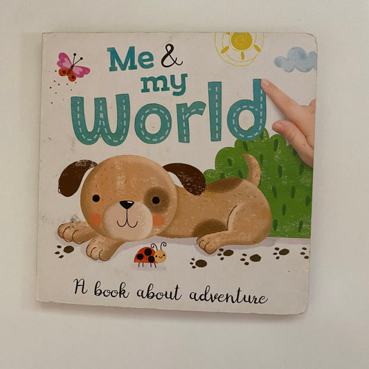 Book - Me & My World