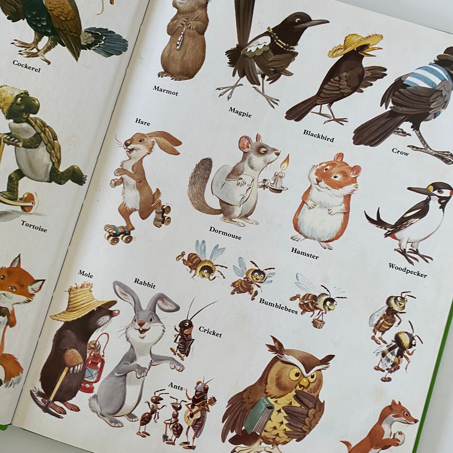 Vintage Meet The Woodland Folk Book