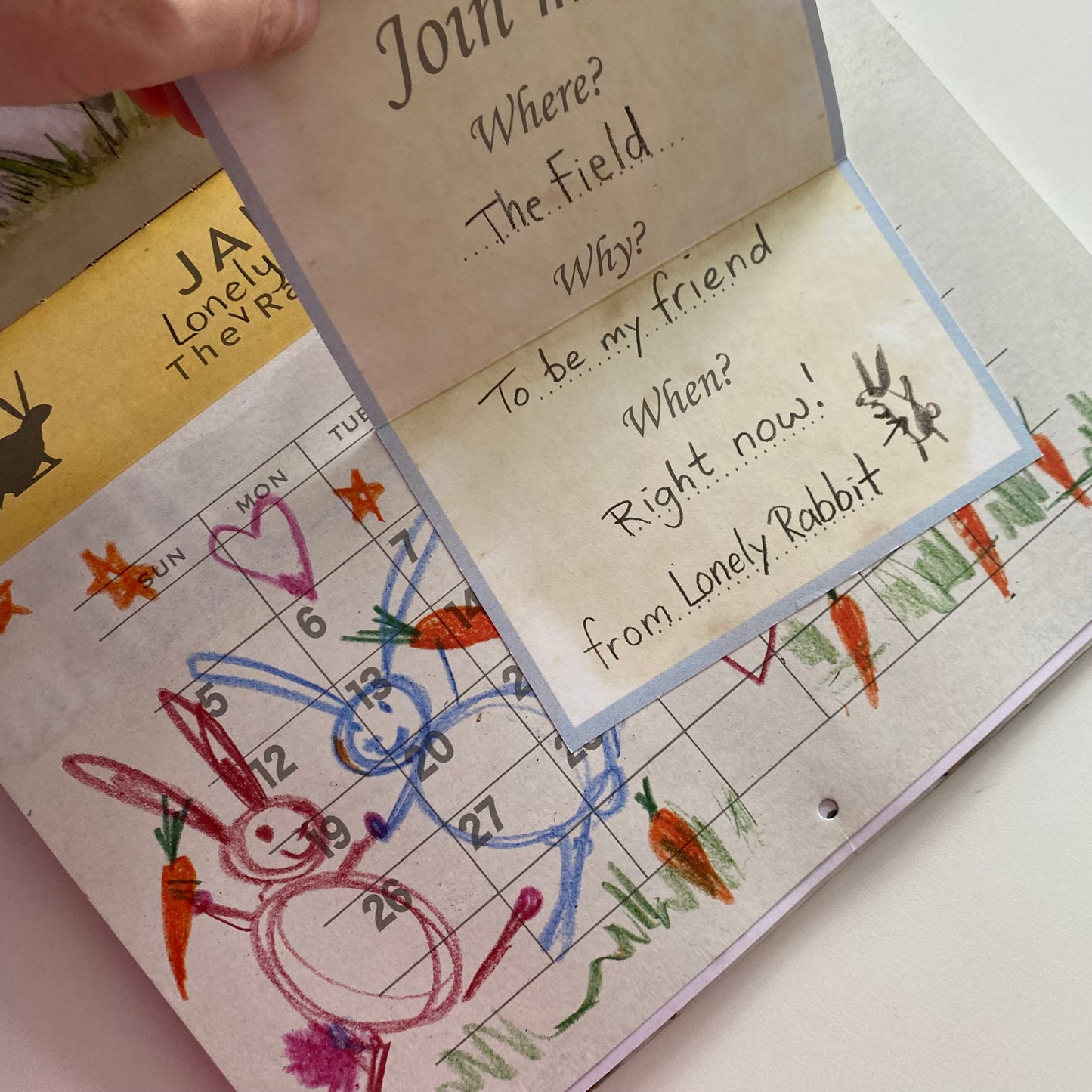 The Rabbit Problem Book