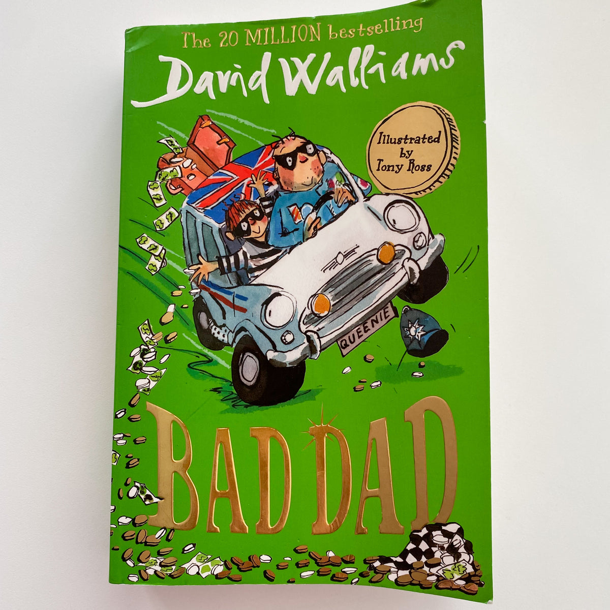 David Williams Bad Dad Chapter Book