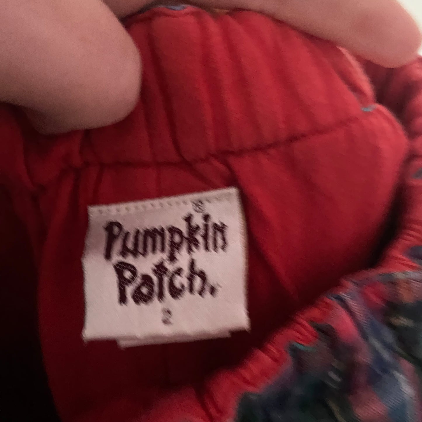 Vintage Pumpkin Patch Pants - Size 2