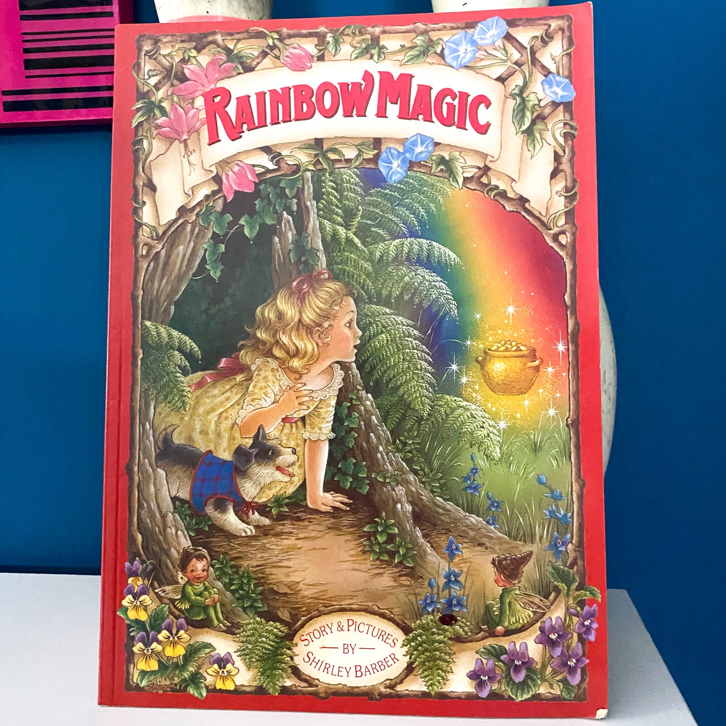 Shirley Barber Rainbow Magic Book
