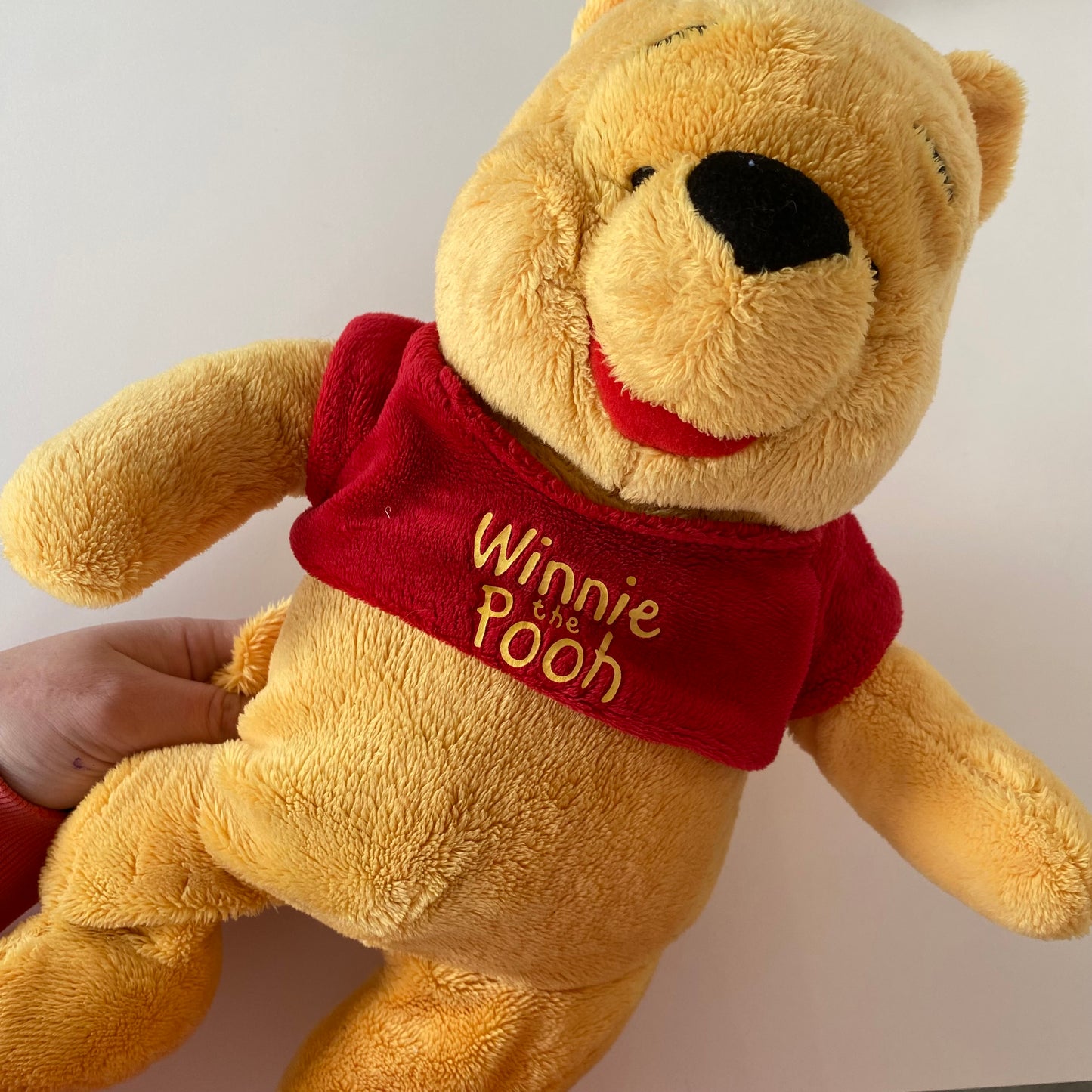 Winnie The Pooh Plush