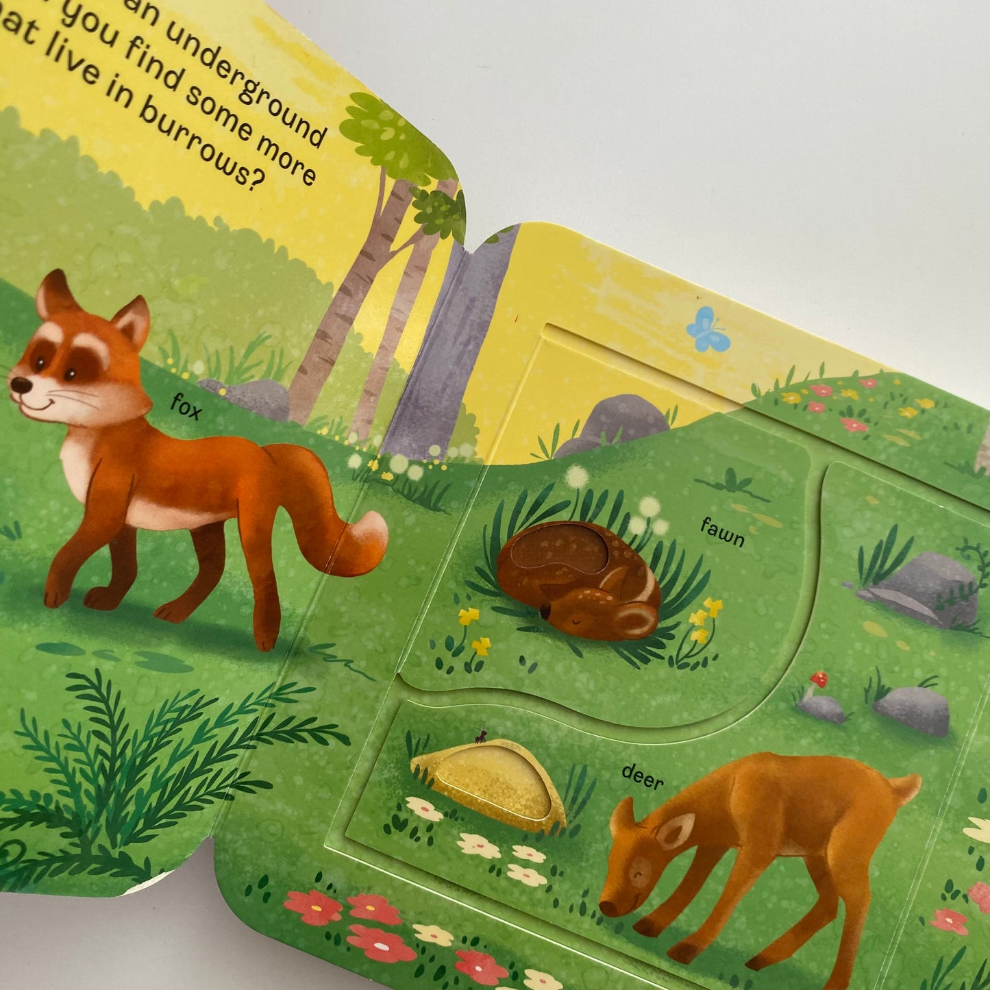 Peek A Flap WHO Board Book