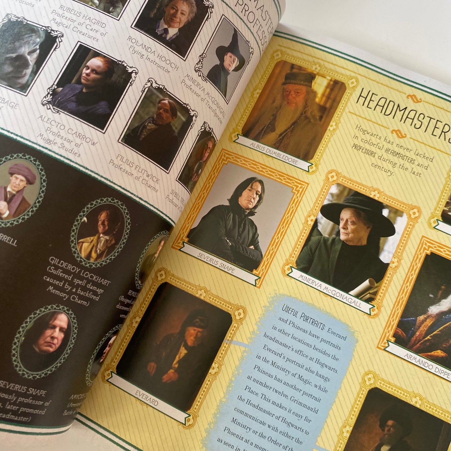 Harry Potter & Fantastic Beasts Book