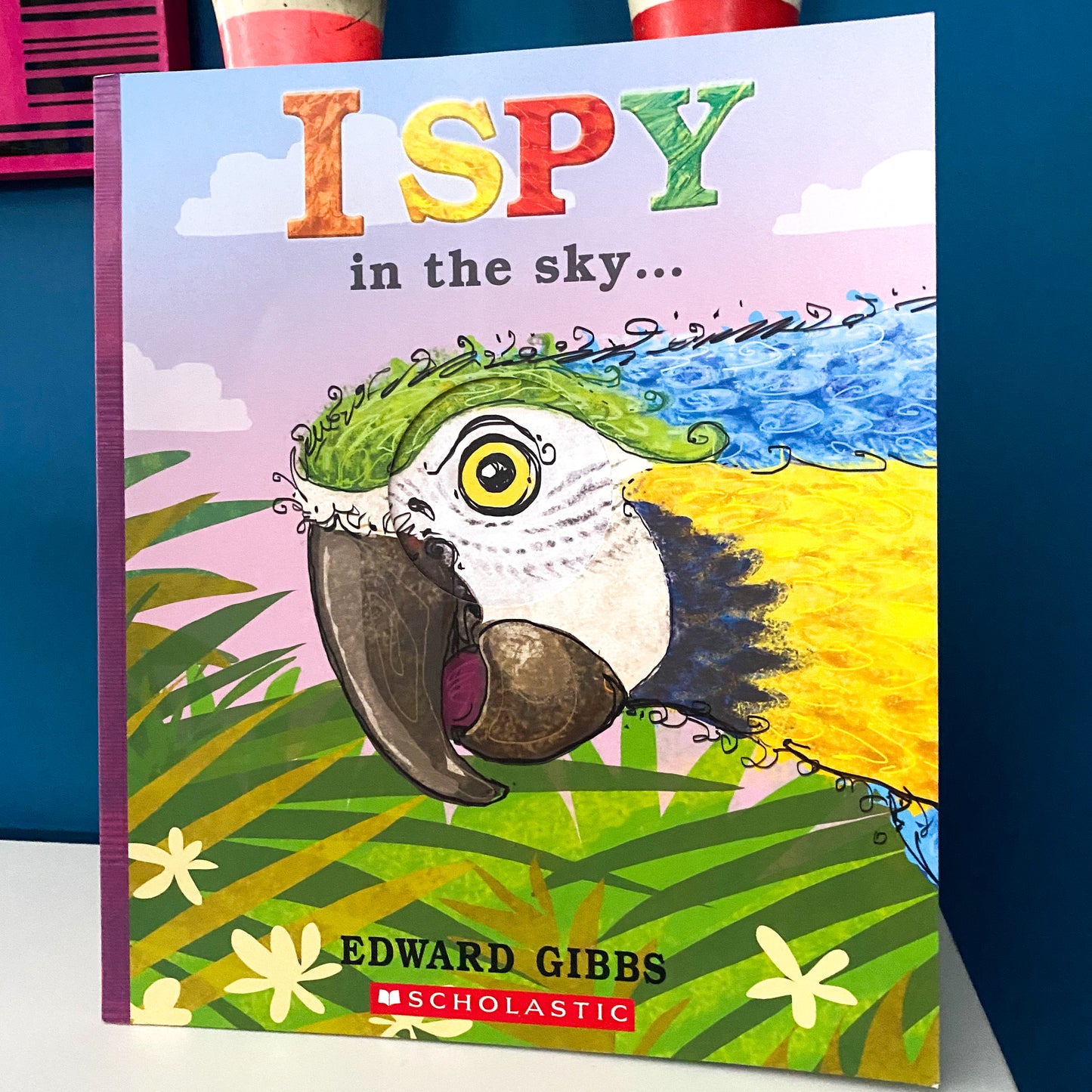 I Spy In The Sky… Book
