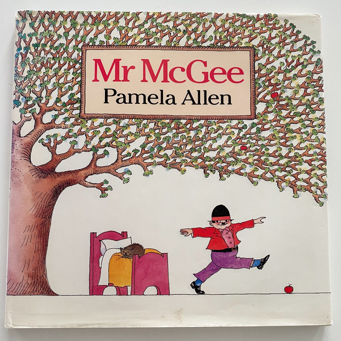 Pamela Allen Mr McGee Book