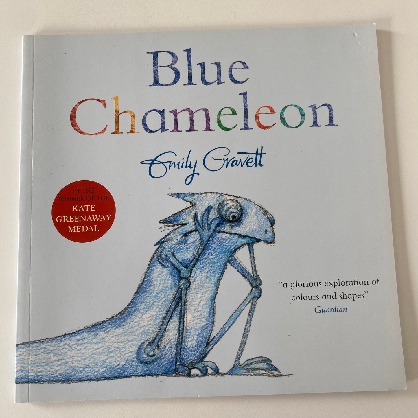 Book - Blue Chameleon