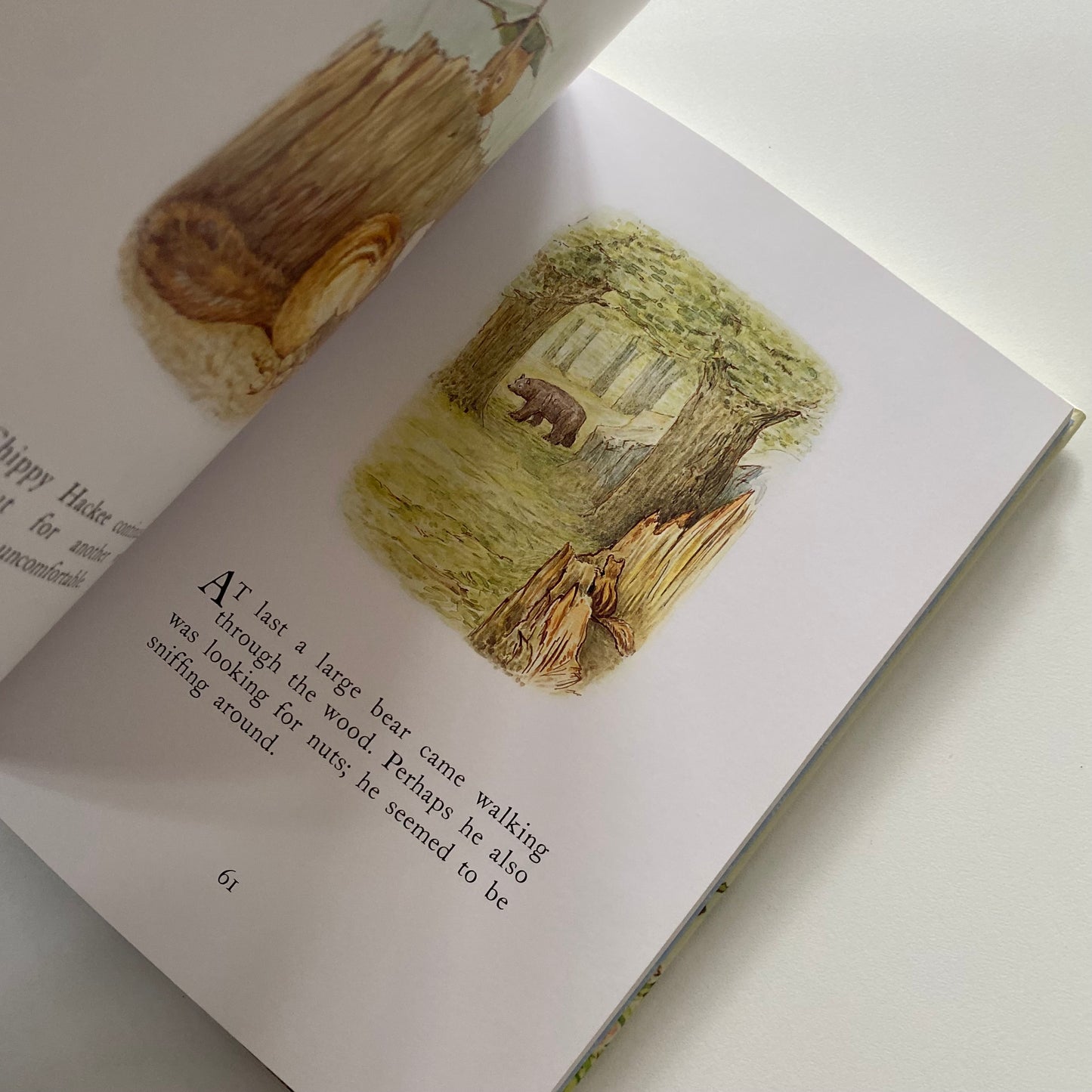 Tales From Beatrix Potter Peter Rabbit Book