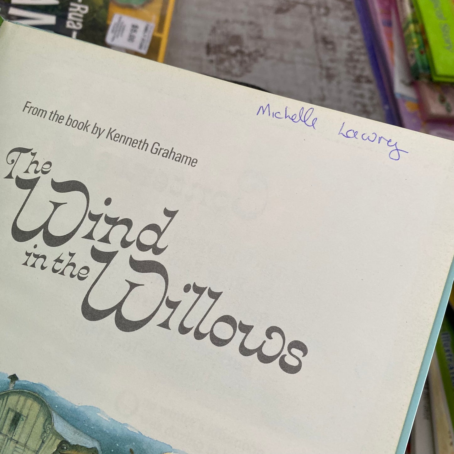 Vintage Wind In The Willows Book