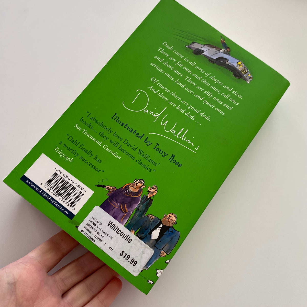 David Williams Bad Dad Chapter Book
