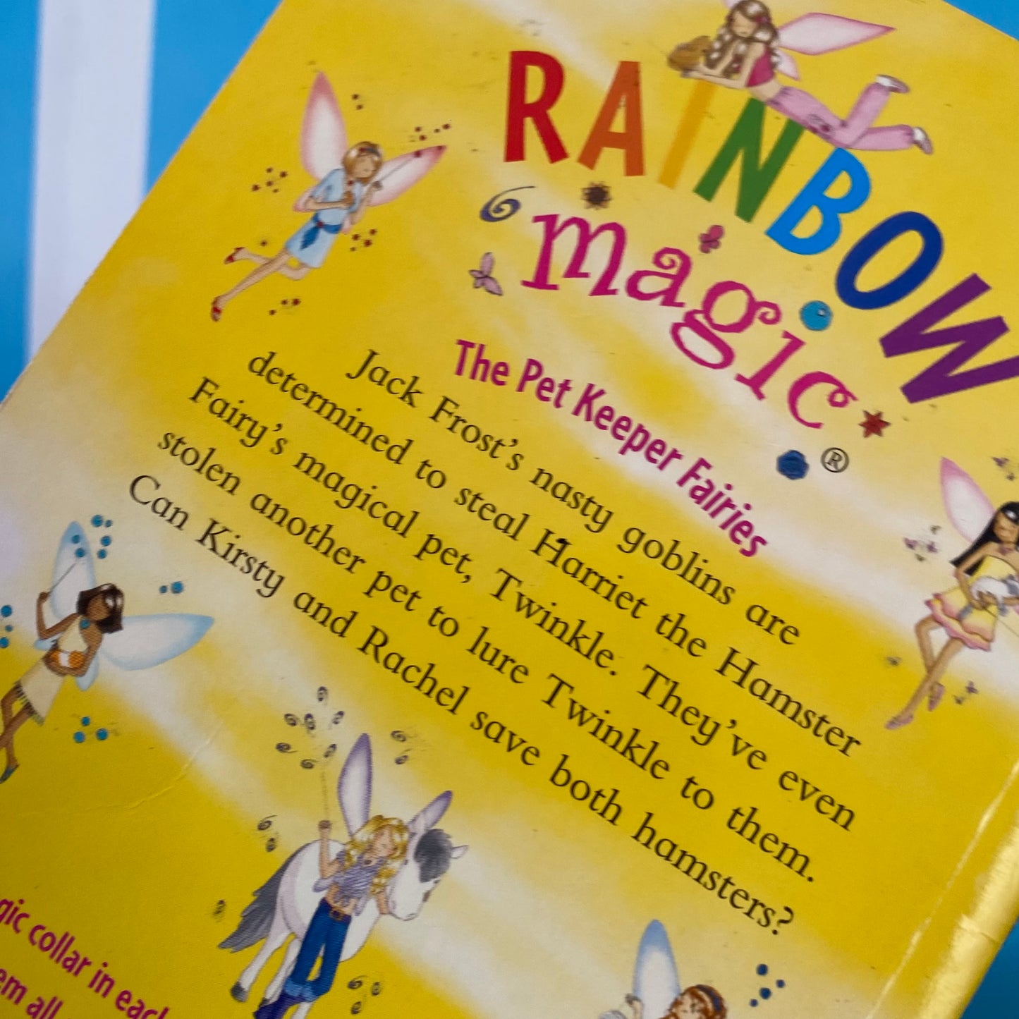 Rainbow Magic Harriet The Hamster Fairy Chapter Book