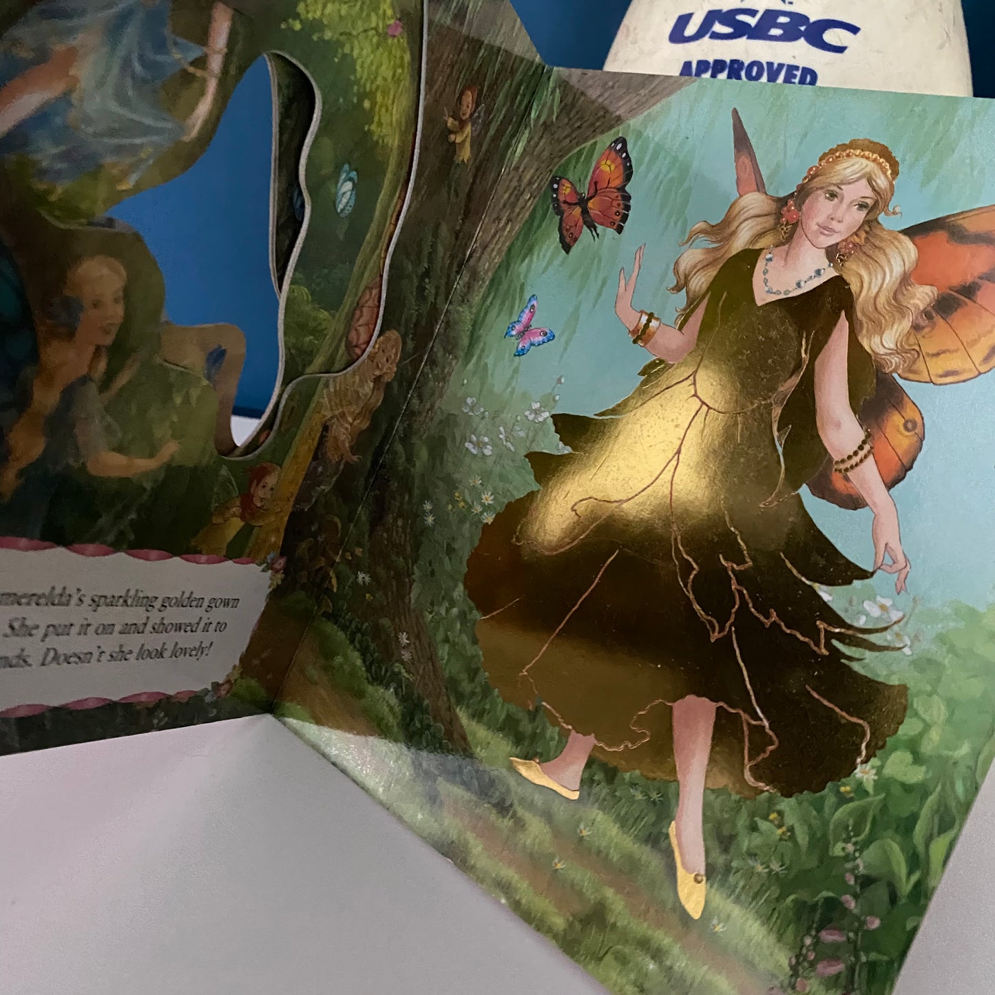 Shirley Barber The Golden Gown Board Book