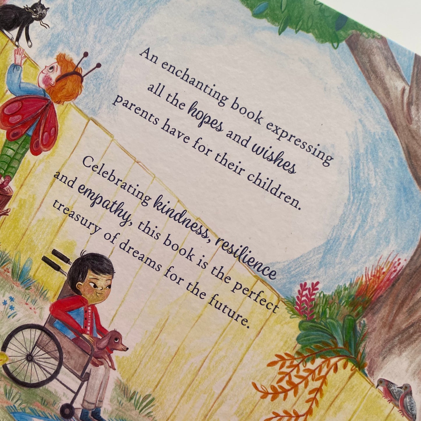 The Little Book Of Hopes