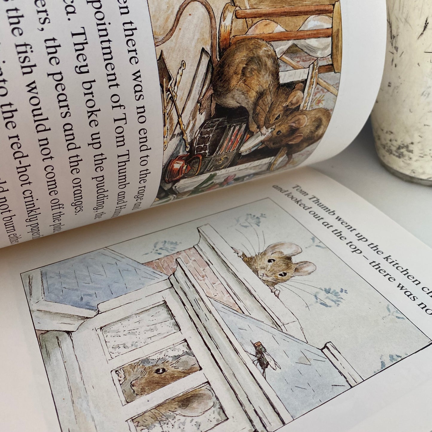 Beatrix Potter Peter Rabbit The Tale Of Two Bad Mice Book