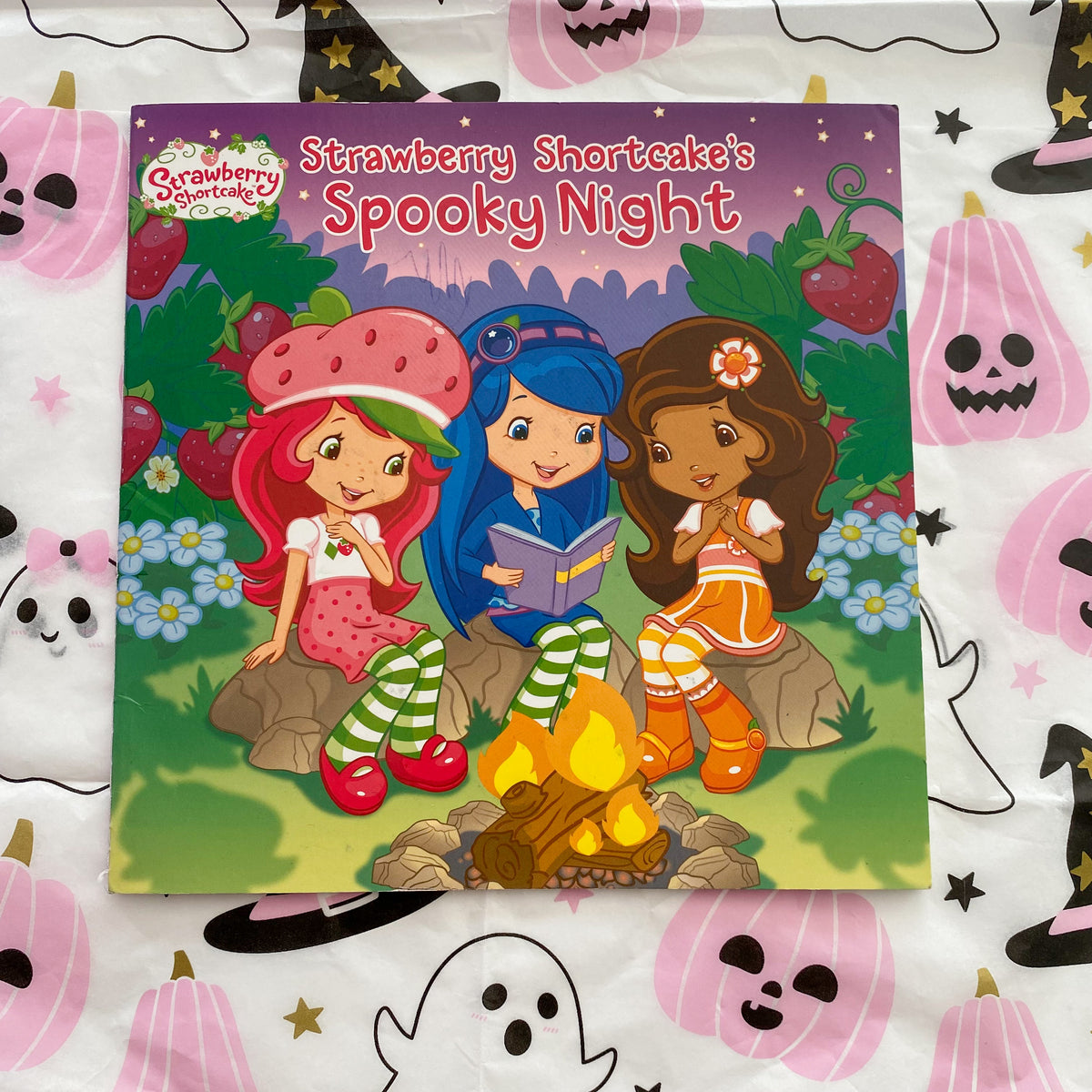 Strawberry Shortcake Spooky Night Book
