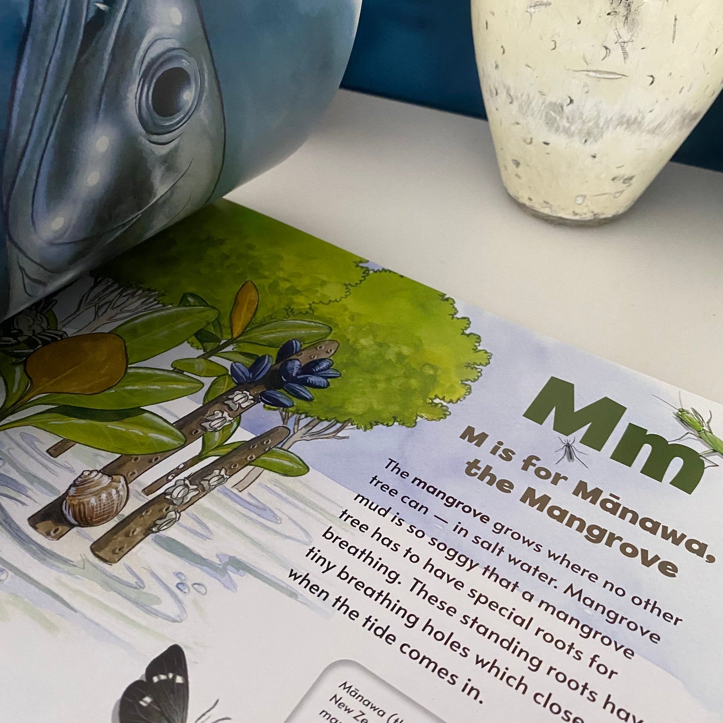 Nature’s Alphabet New Zealand Nature Trail Book