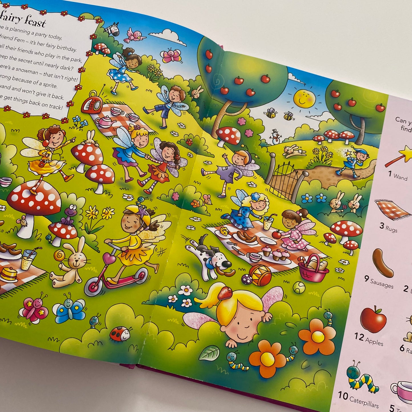 Seek & Find Fairy Book
