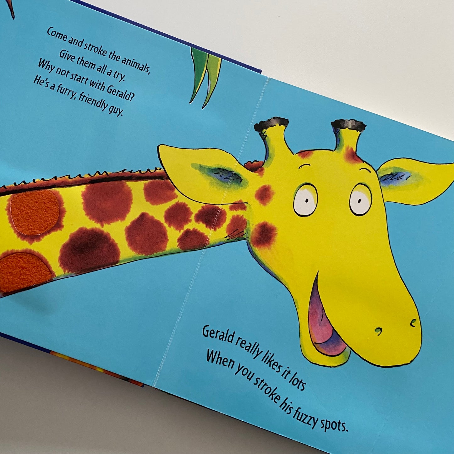 Giraffe’s Can’t Dance Touch & Feel Board Book