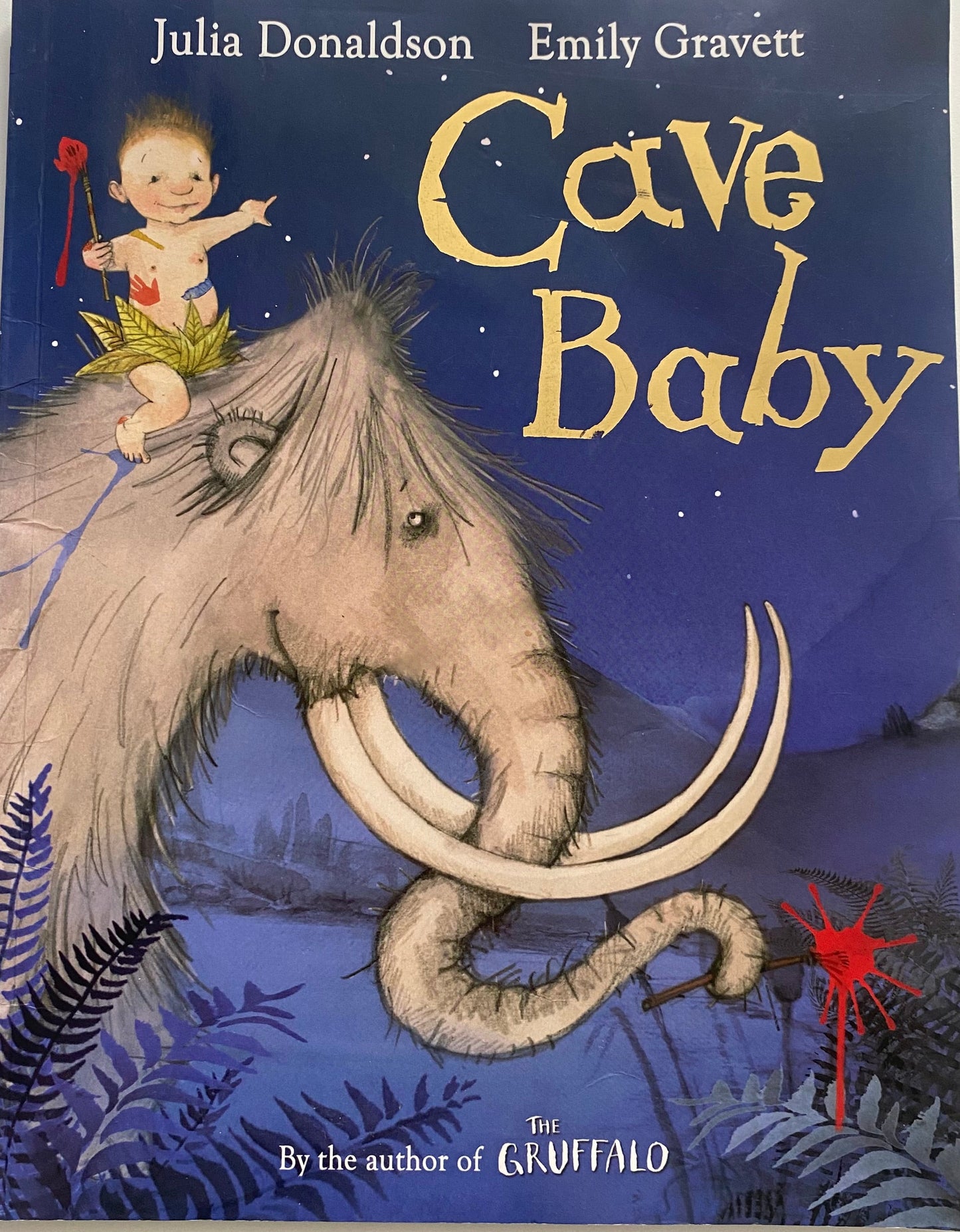 Julia Donaldson Cave Baby Book