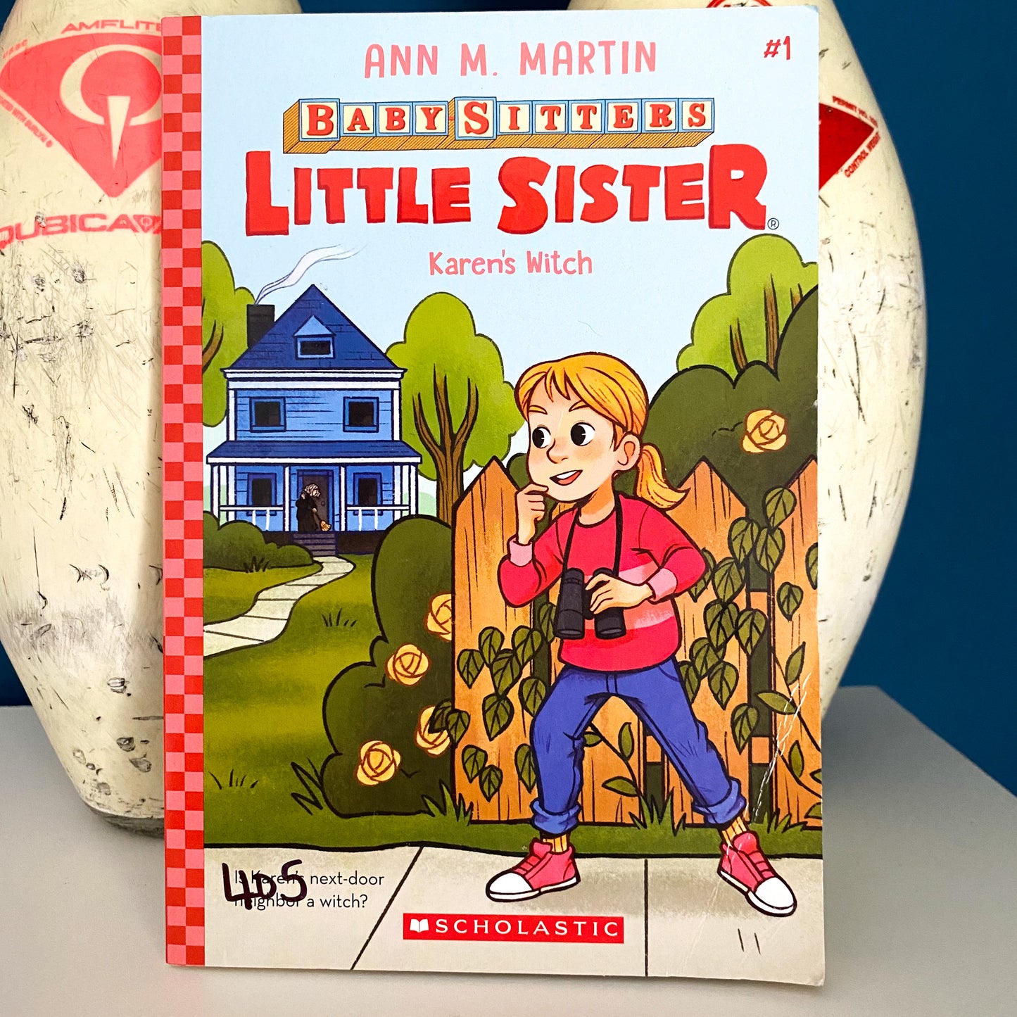 Babysitters Little Sister Chapter Book