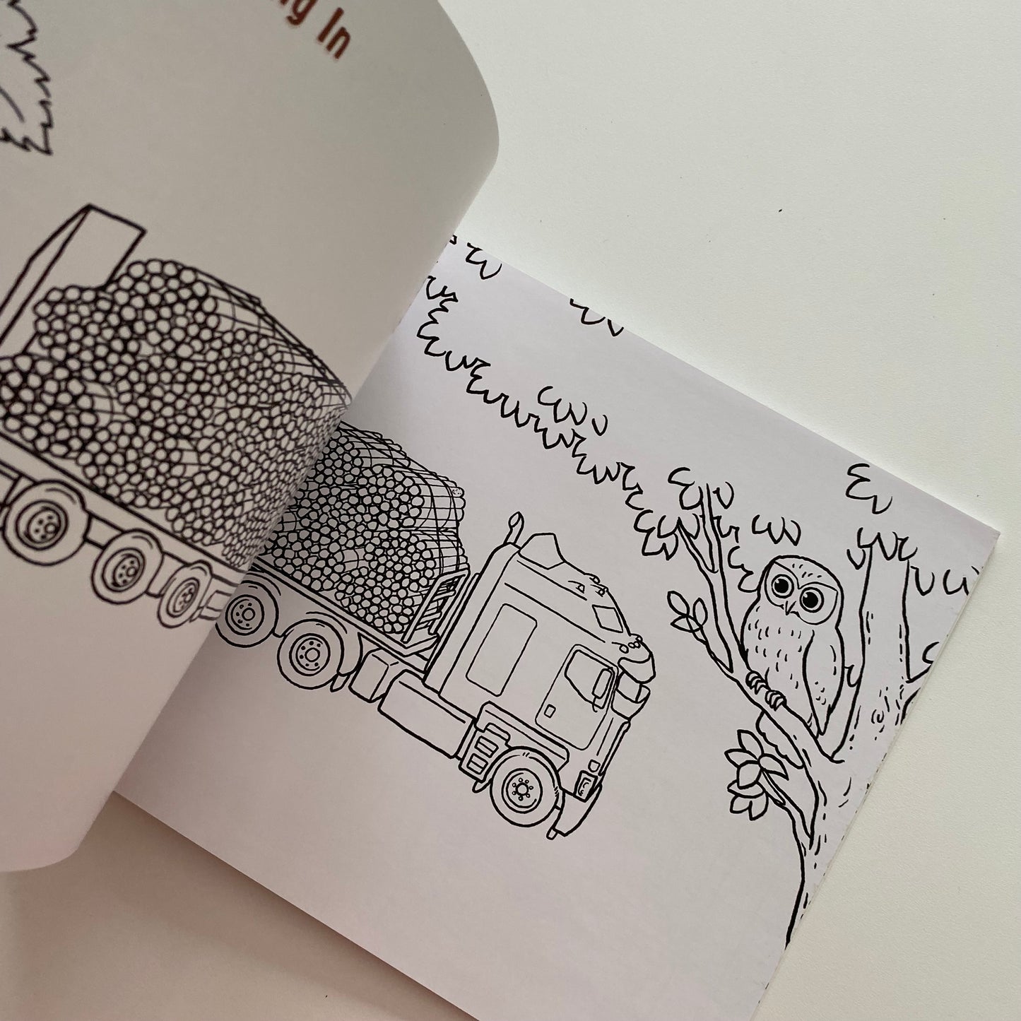 Paddy The Post NZ Rural Book (NEW)