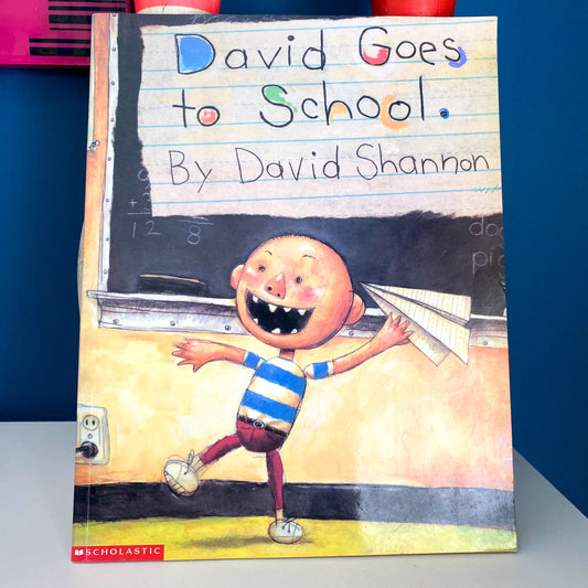 David Goes To School Book