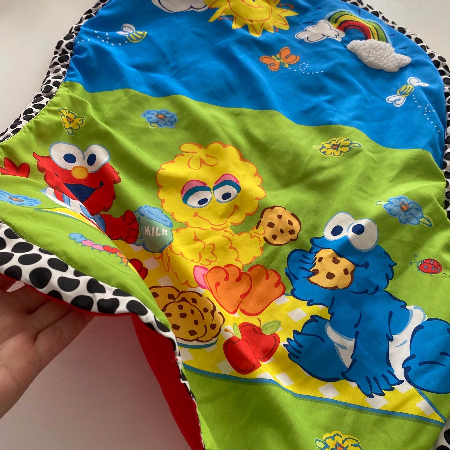 Sesame Street Play/Change Mat